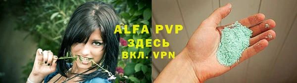 сатива Алексин