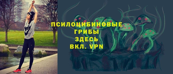сатива Алексин
