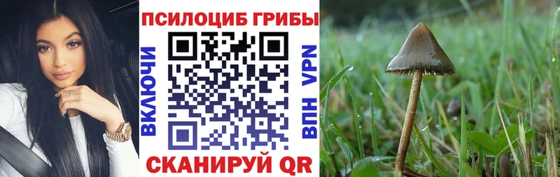Псилоцибиновые грибы мухоморы  наркошоп  дарк нет наркотические препараты  Далматово 